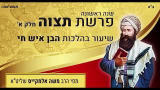 בן איש חי שנה ראשונה - פרשת תצוה א' | הרב משה אלמקייס