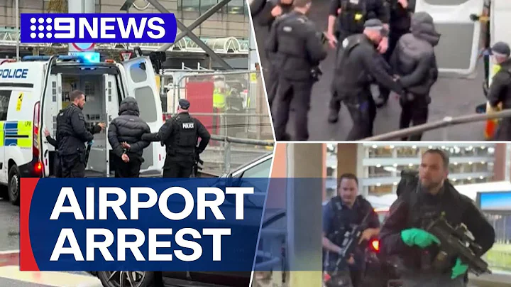 More than 20 people injured after pepper spray attack at Heathrow Airport | 9 News Australia