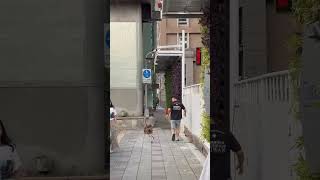 Pet Ostrich Runs on Leash Down Taiwan City Street