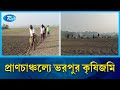 লাভের আশায় পেঁয়াজ চাষে ব্যস্ত কৃষকেরা | Farmar | Field | Rtv News