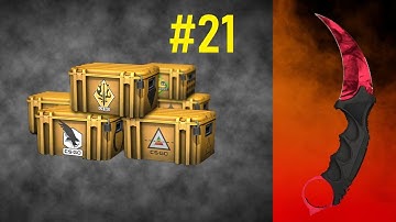 Opening 1 Case Everyday Until I Get a Knife #21