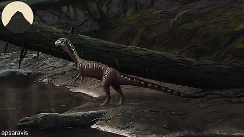 The Evolution of Crocodiles