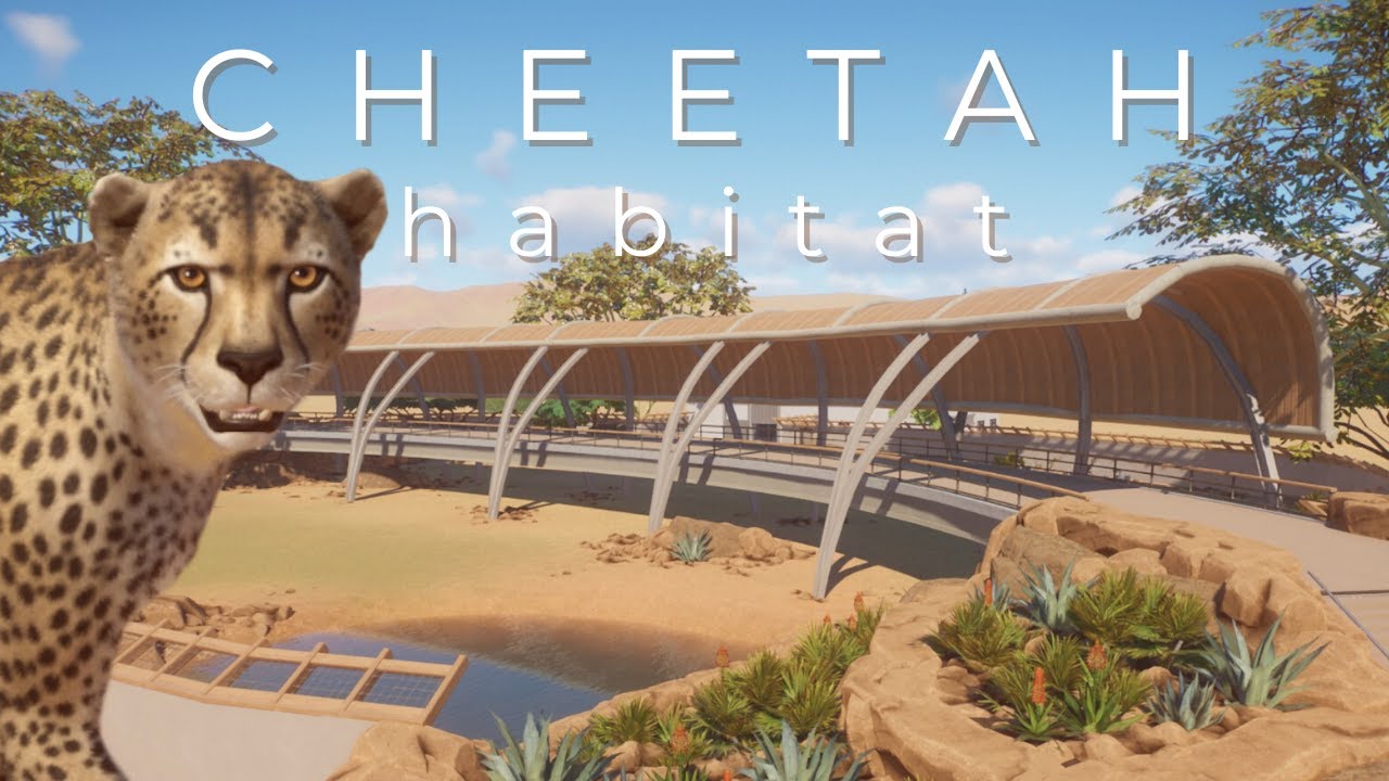 CHEETAH HABITAT & Contemporary Bridge Walkway Planet Zoo Speed Build