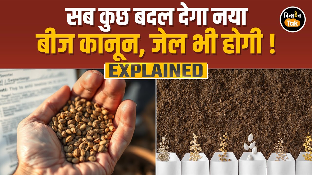 EXPLAINED: नकली बीज पर कैसे नकेल कसेगा नया बीज विधेयक? हर किसान के काम की बात | 