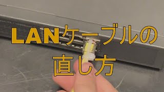 【修理】LANケーブルの直し方【青樹セロリ】