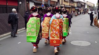 Geisha Walk through the Gion Hanamikoji of Kyoto  | Japan Travel Vlog