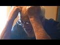 Angry Grandpa: The Sixth Movie