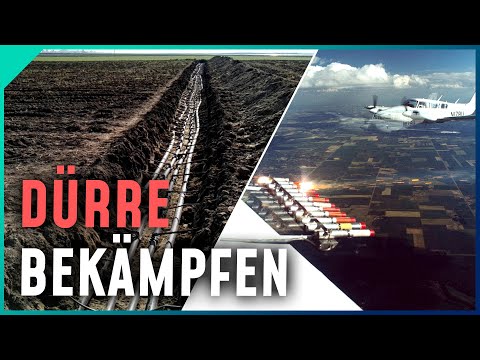 Kampf ums Wasser: DIESE Lösungen helfen gegen die extreme Dürre