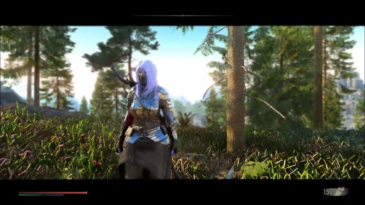 Skyrim Testing Motion Blur 2400 Mods YouTube