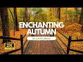 Incredible Fall Foliage - Best Autumn Nature Scenes from Around the World - Calming Music