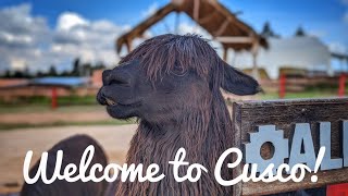 Exploring Cusco - An Adventure in Peru