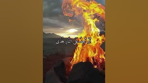 واتس اب قران كريم القارئ مشاري فالح (سوره طه)