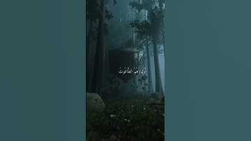 اكتب شيء تؤجر عليه 😌🎧 عبد الرحمن مسعد سوره البقره 🤍 #quran_alkarim