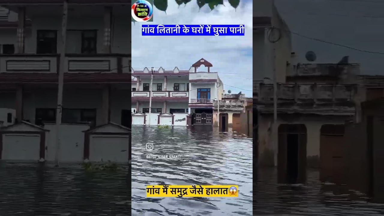 flood  village litani village Hisar Haryana 😭🙏