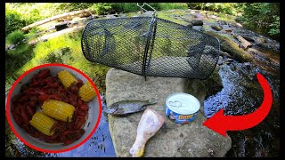 Catch & Cook: Crawfish (What's the best bait?)