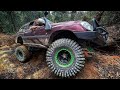 Best Off-Road Fails and Wins  | December | Offroad Action