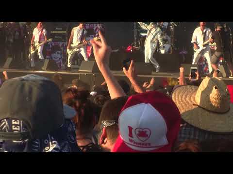 THE ADICTS @ IT'S NOT DEAD FEST 2 8/26/2017 "VULTURE VIDEO"