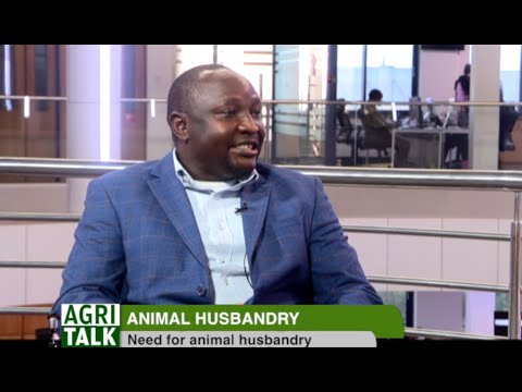 Importance of animal husbandry and how to prevent animal cruelty |part