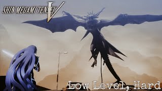Shin Megami Tensei V-Vengeance Coc Seth Hard Low Level