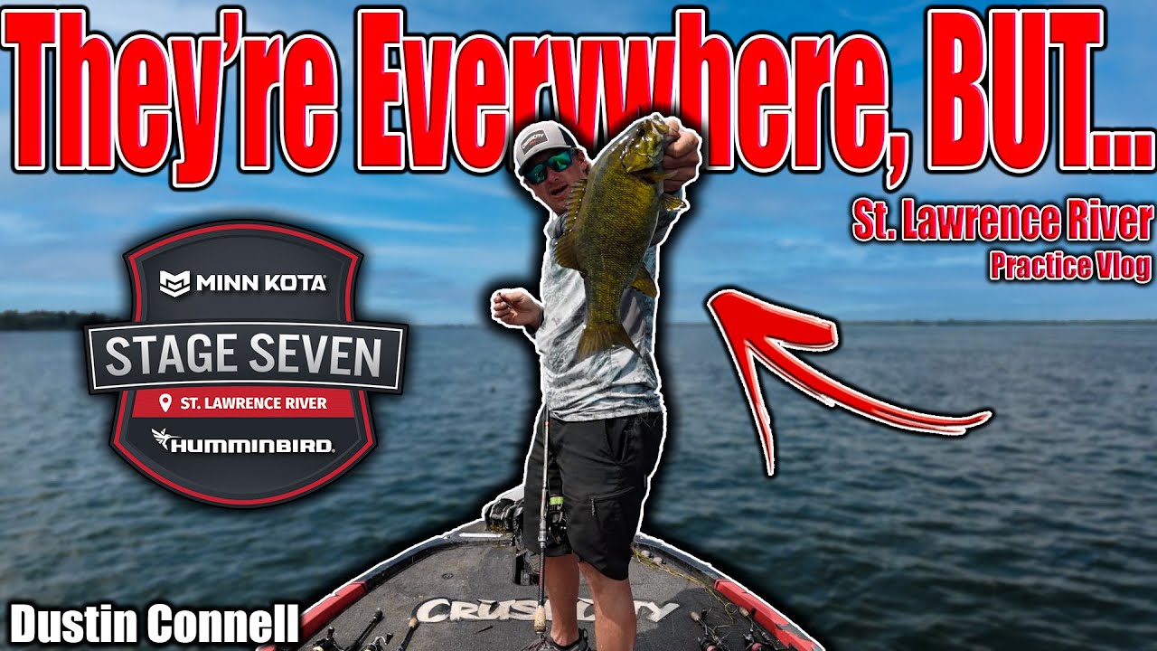 This Place is LOADED, BUT... MLF Stage 7 St. Lawrence River - Practice Vlog
