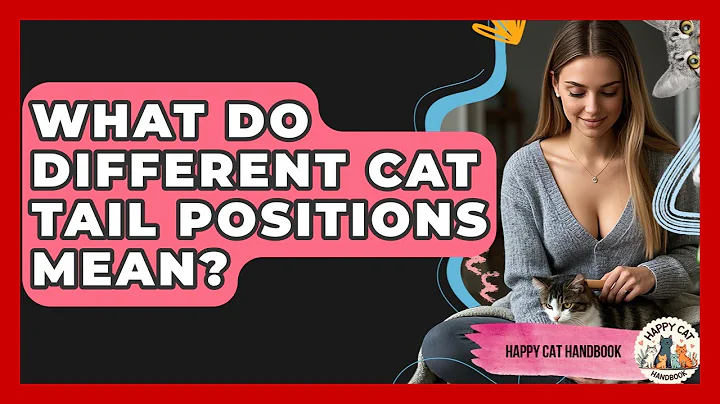 What Do Different Cat Tail Positions Mean? - Happy Cat Handbook