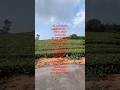 viral short video # property sale#vagamon