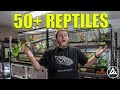 REPTILE ROOM TOUR MARCH 2021!! (50+ REPTILES)