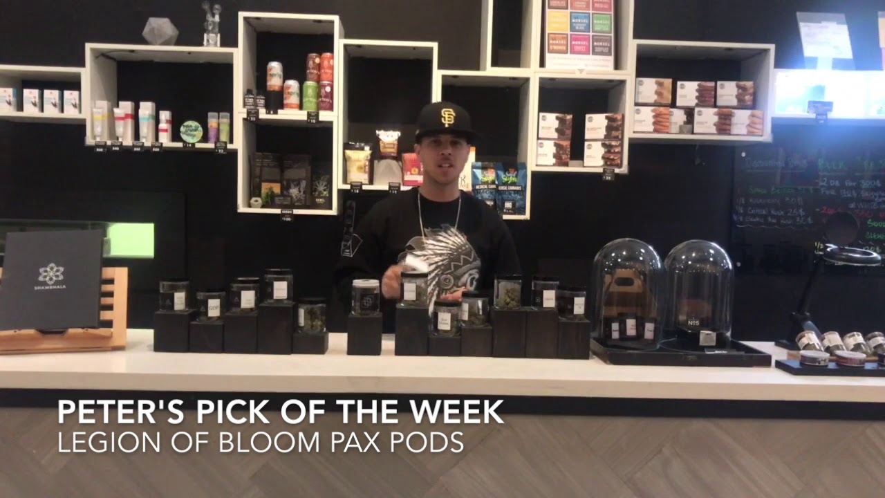 Staff Pick of the Week | Legion of Bloom Pax Pods | Shambhala MCC