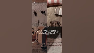 القارئ #ياسر_الدوسري #تلاوة_خاشعة #راحة_نفسية