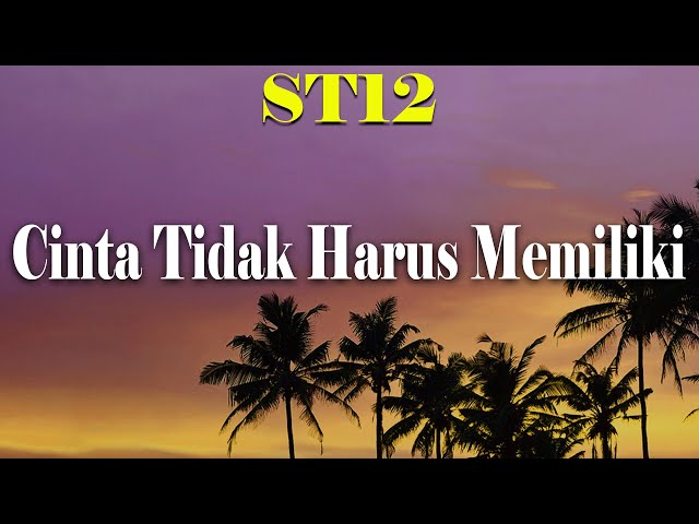 ST12 - Cinta Tidak Harus Memiliki - (Audio Lyric) class=