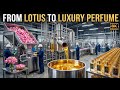 From Lotus Flower to $1000 Luxury Perfume 🌸 | Inside a Real Factory Process
