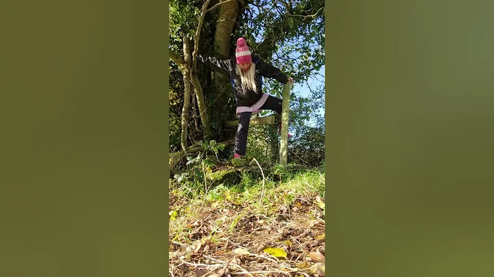 how NOT to climb over a stile.