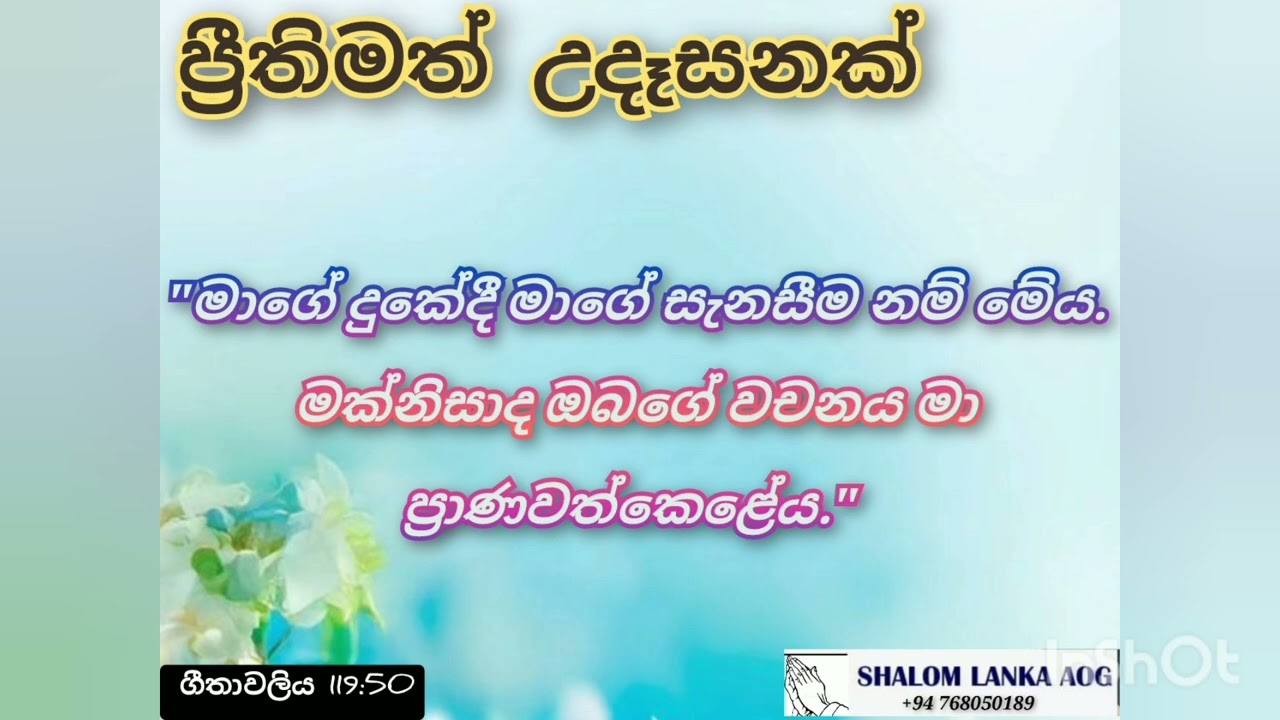 ප්‍රීතිමත් උදෑසනක්  2025 11.13