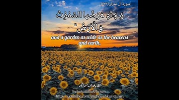 سورة ال عمران بصوت الشيخ إدريس أبكر/Surah Al Imran Sheikh Idris abkar @idressabkar-quran