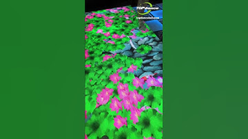 LED interactive floor — Easy to set, impossible to ignore 🎉#leddancefloor #shorts #interactive