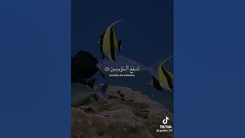 وما خلقت الجن والإنس إلا ليعبدون🤍 قارئ سعود الشريم ❤قناة نور على نور للقرآن الكريم✅