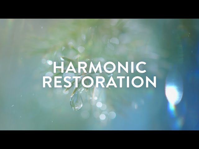 Harmonic Restoration ✧ 111Hz, 222Hz, 444Hz, 888Hz ✧ Self-Healing Meditation Soundscape class=