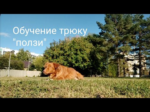 Видео: Как да получите ползи