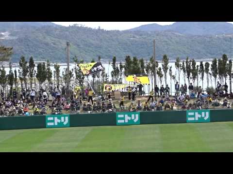 2015年　沖縄春季キャンプ　2月11日（水）　練習試合　日本ハム　3－1　阪神　阪神応援団