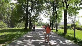 Покатушки на роликах через парк у Муринского ручья (17.06.2017)