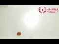 Medium Ball Bounce - Aardman Academy