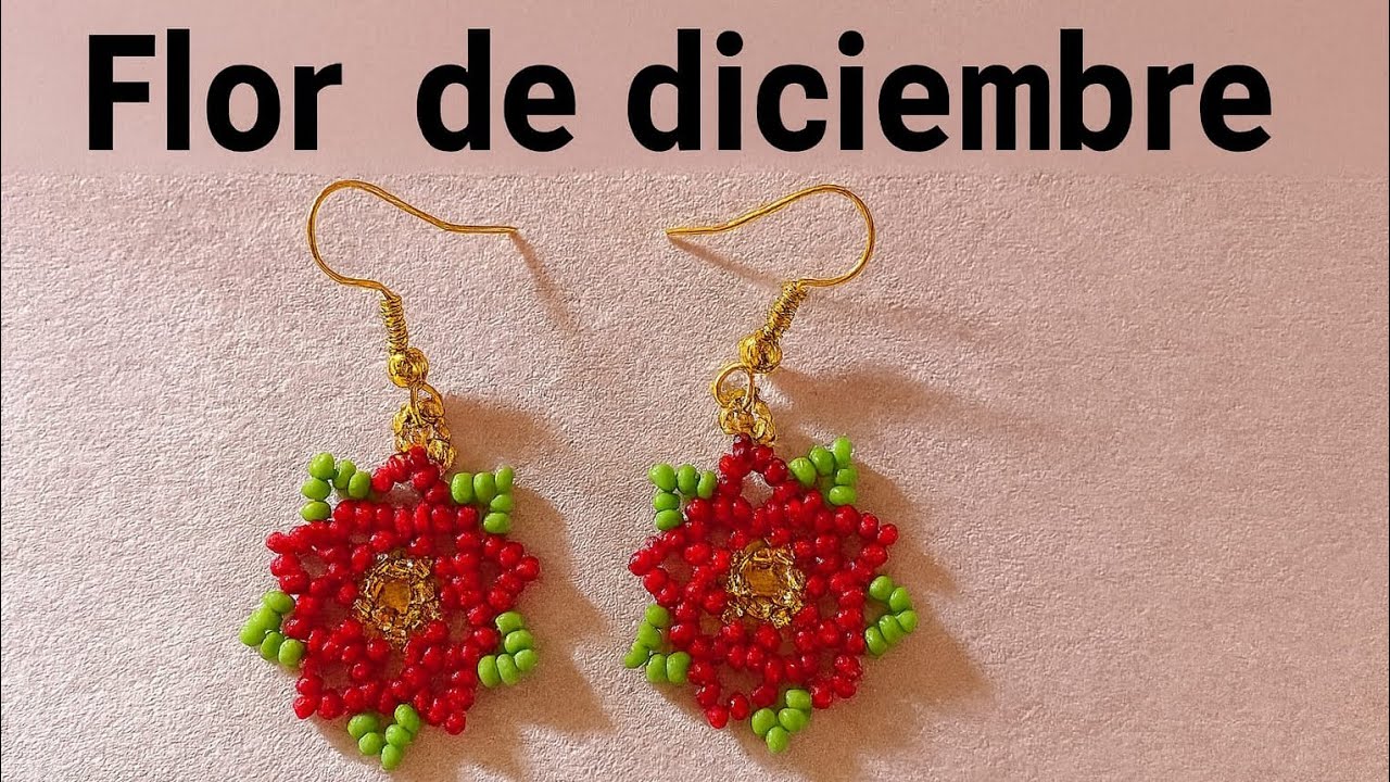 Flor de diciembre//Navidad