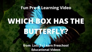 Fun Pre-K Learning Video | Which Box has the Butterfly? Fun Pre-K Learning Video | Which Box has the Butterfly?