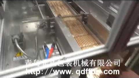 Envelope type Biscuit Overwrapping Packing Machine