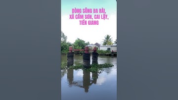 DÒNG SÔNG BA RÀI. XÃ CẨM SƠN, CAI LẬY, TIỀN GIANG
