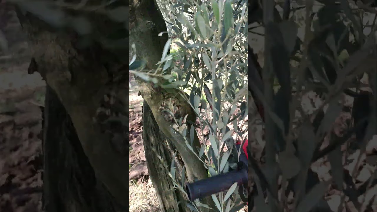 Ferrino şarjlı budama testeresi