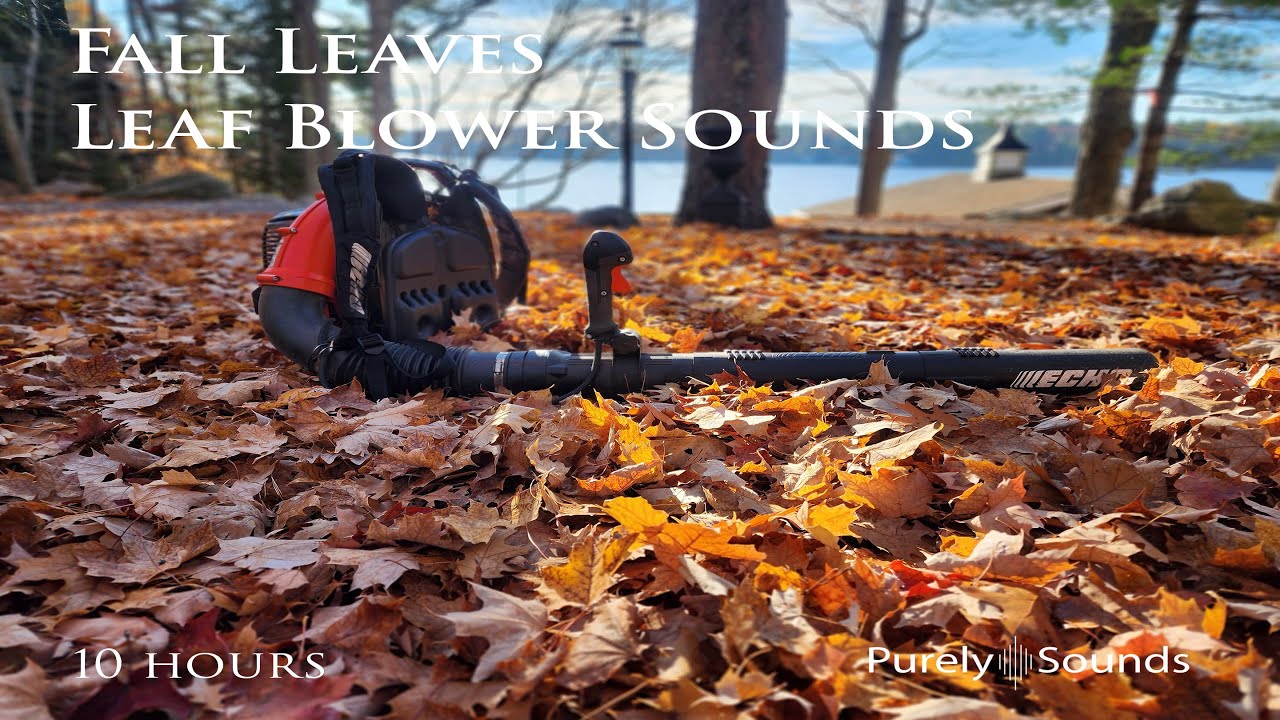 Leaf Blower - The Sounds Of Fall | 10 hours ASMR| Fade to Black - YouTube