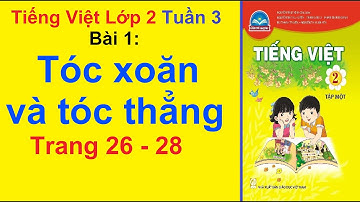 Tiếng Việt Lớp 2 – Tóc Xoăn Tóc Thẳng  – Chân Trời Sáng Tạo – Tuần 3 – Bài 1 – Trang 26