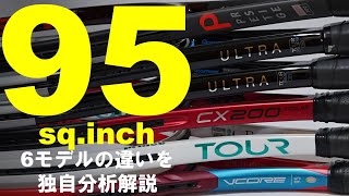 95sq.inchだけを集めて独自分析解説してみました！[テニエンス