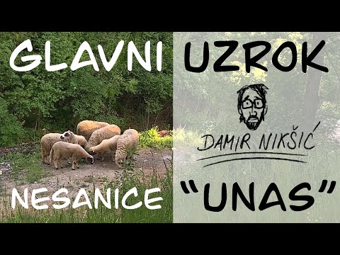 Glavni uzrok nesanice “unas”